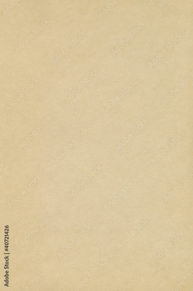 Vintage book blank page