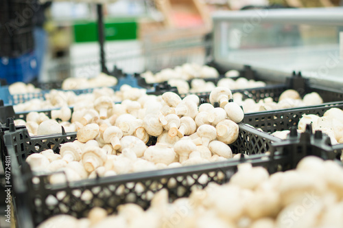 White mushrooms in boxes in supermarket