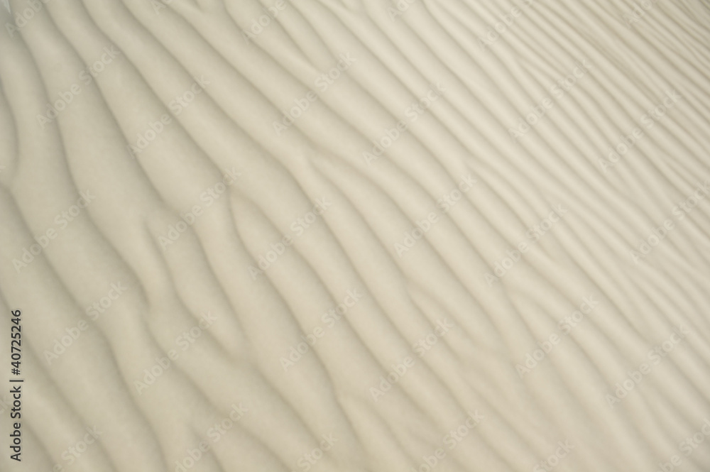 Obraz premium Sanddünen im Nambung Nationalpark in Westaustralien