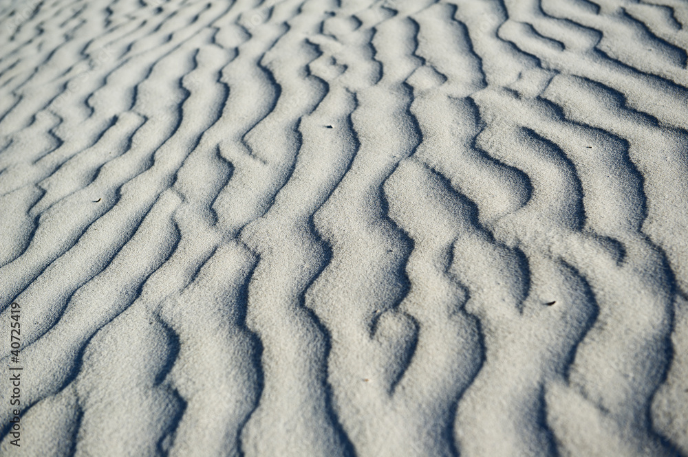 Fototapeta premium Sanddünen im Nambung Nationalpark in Westaustralien