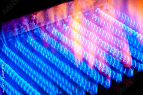 Fototapeta The fire burns from a gas burner inside the boiler.