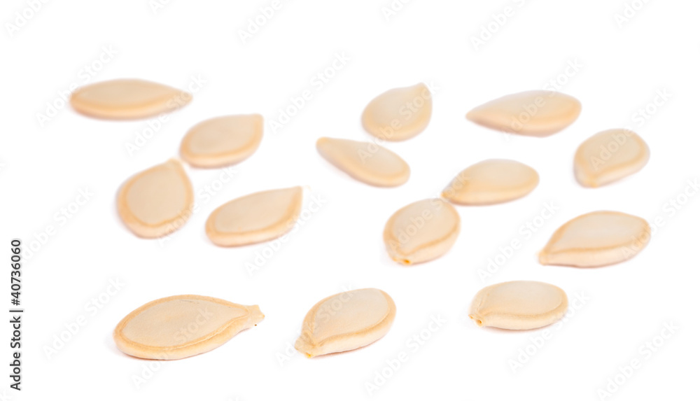 squash seeds isolated squash seeds isolated