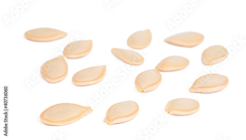 squash seeds isolated