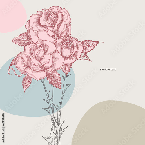 Bouquet of roses vector illustration