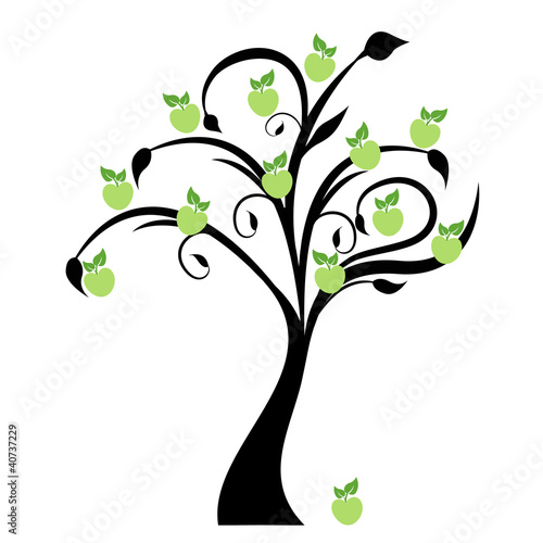 Apple tree isolated on white background