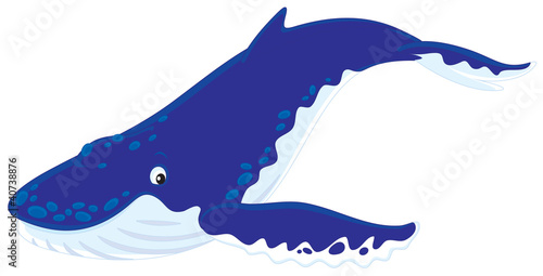 Hump-backed whale