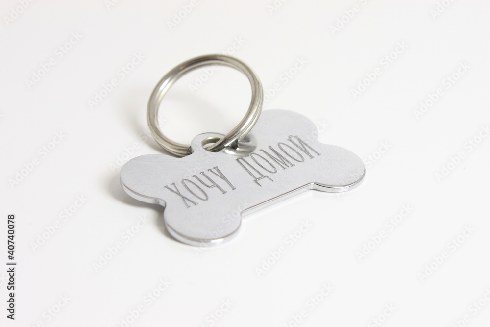 dog medallion dog medallion