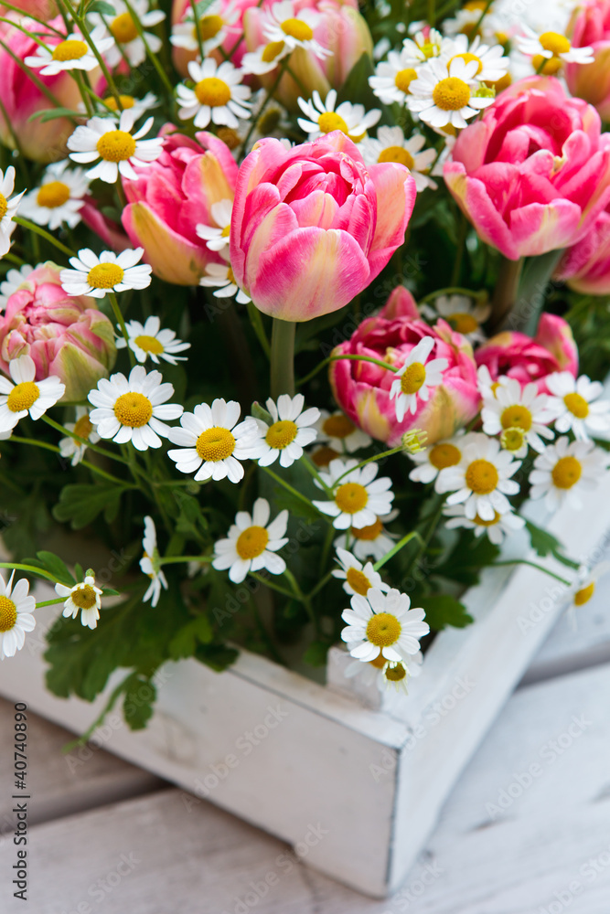 Obraz premium rosa Tulpen mit Kamille
