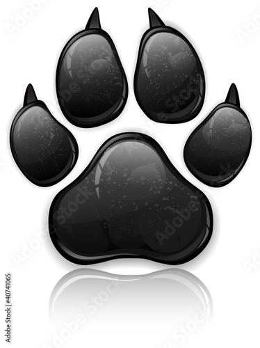 Paw Prints