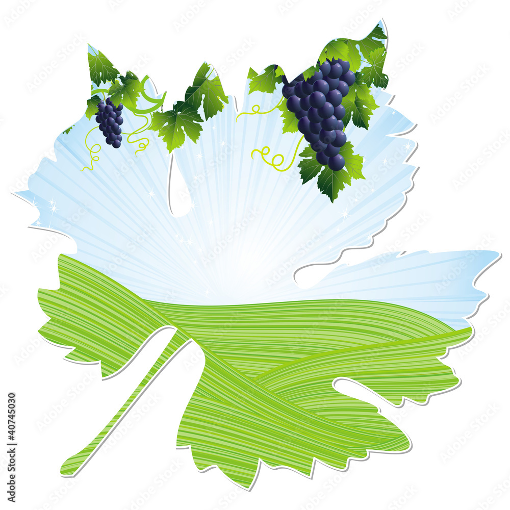 Obraz premium wine leaf frame