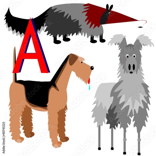A anteater airedale alpaca