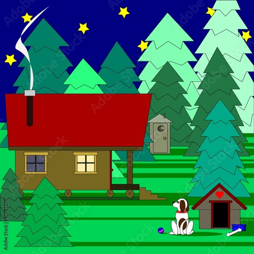 Vacation cabin in the woods