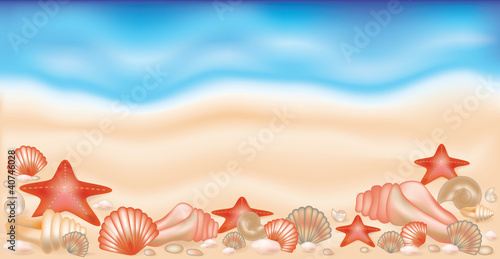Summer banner  on sand with shells and starfishes,  vector