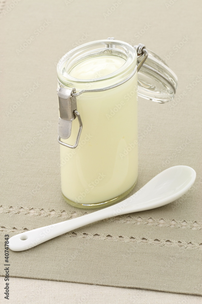 delicious fresh yogurt delicious fresh yogurt