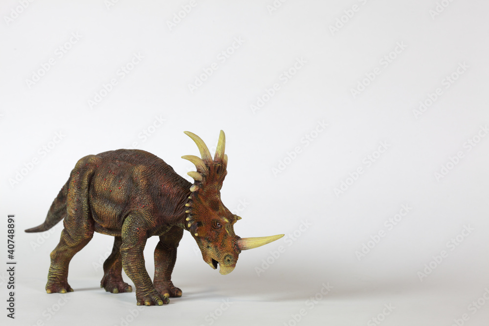 Triceratopsid dinosaur