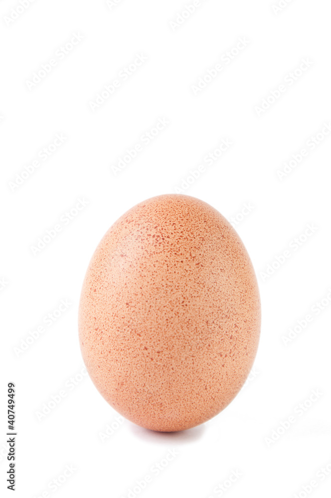 Studio shot of a brown egg, white background Studio shot of a brown egg, white background