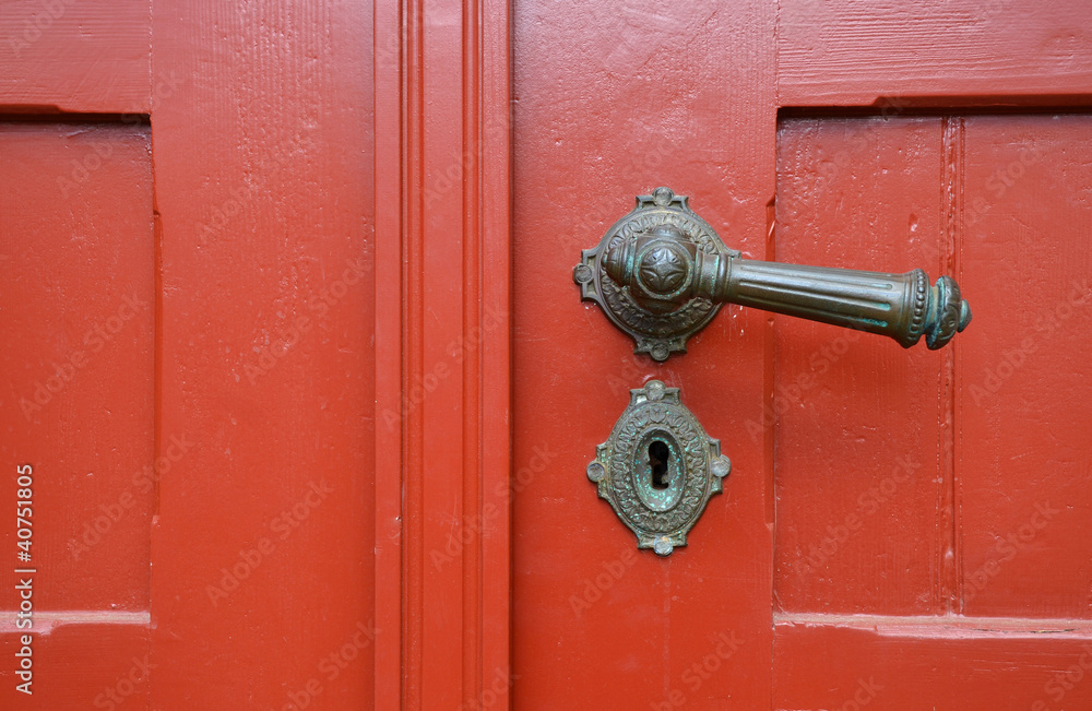 Fototapeta premium türklinke