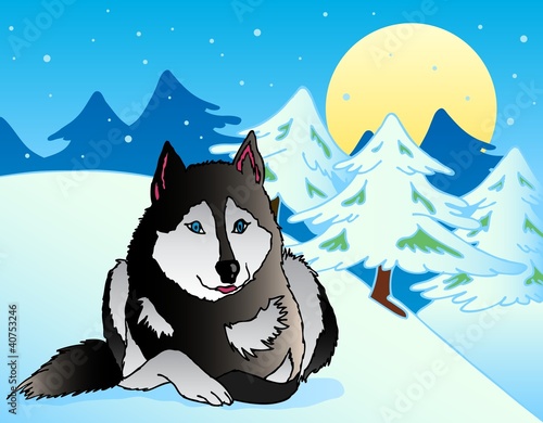 Dog lying in snowy landscape