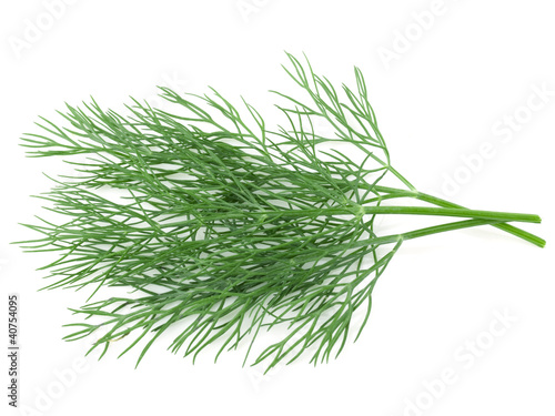 Dill isolated on white background. Studio macro