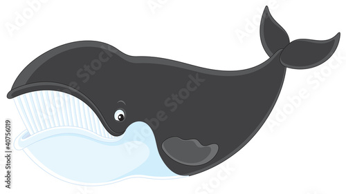 Bowhead whale