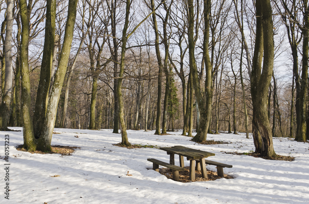 Wooden table and bench in the snowy forest