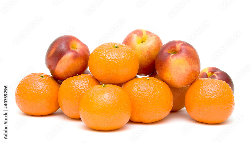 tangerines and nectarines on white background tangerines and nectarines on white background