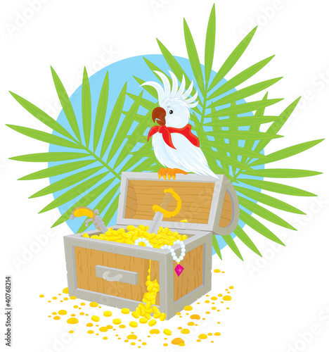 Pirate Parrot and treasure ...