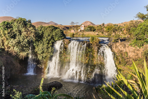 Lily waterfall
