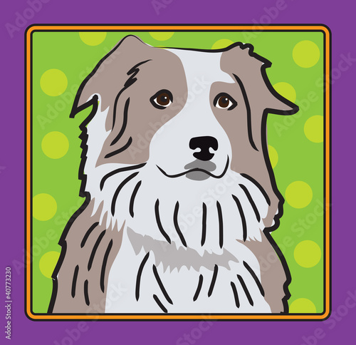 Australian Shepherd Cartoon