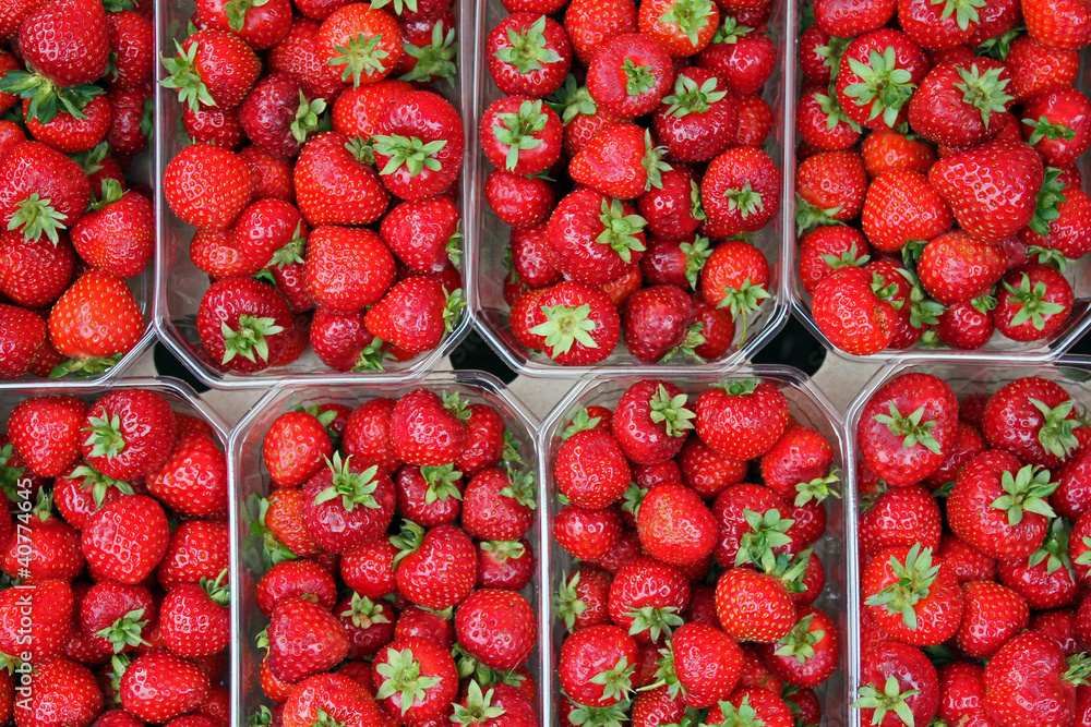 Frische Erdbeeren Frische Erdbeeren