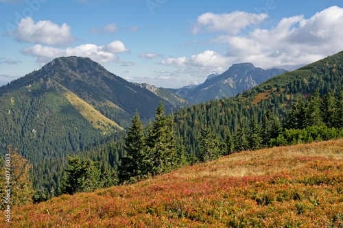 Colorful autumn in the Western Tatras (Rohace)