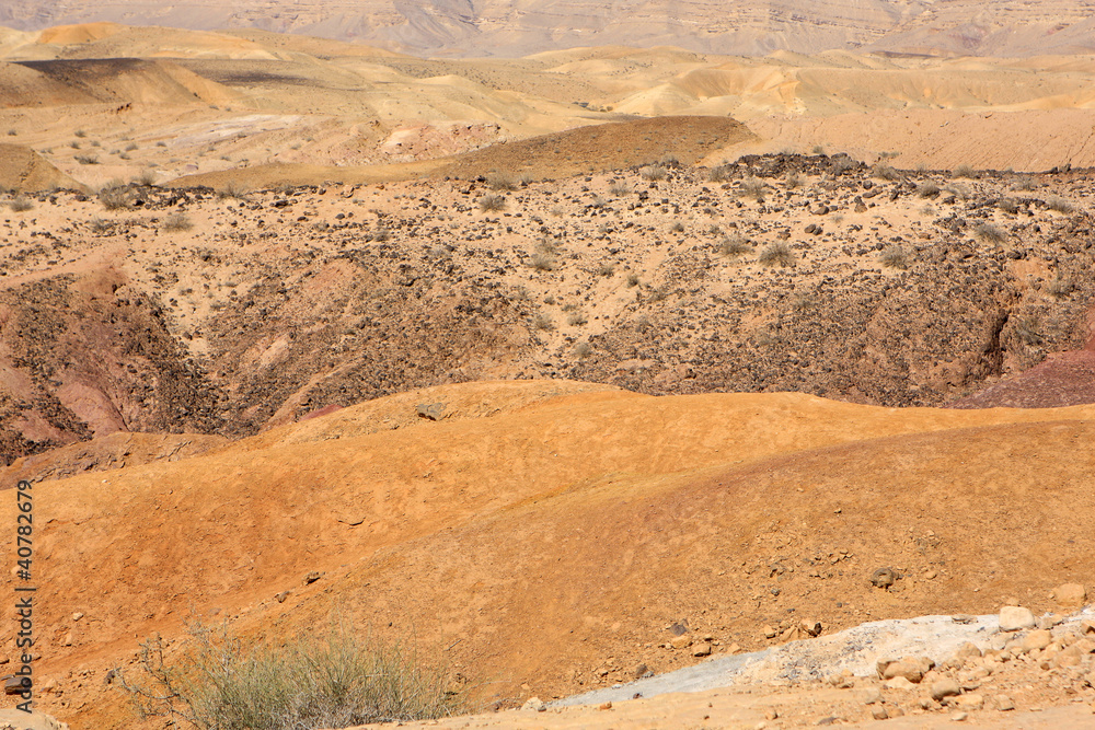 Negev desert, Israel Negev desert, Israel