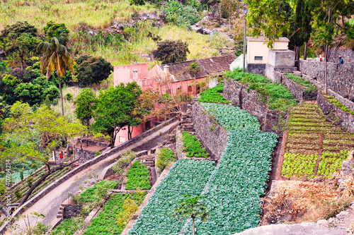 Photography Farm in Cape verde island of Sao Antao