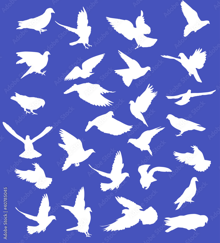 set of white pigeons on blue set of white pigeons on blue