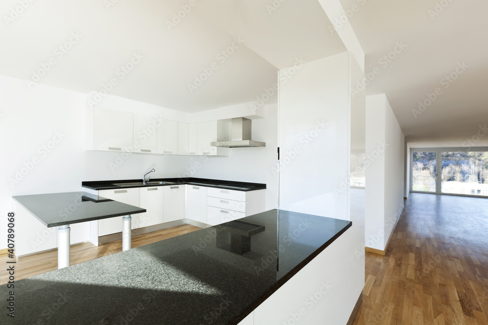 beautiful new apartment, interior, view of the kitchen beautiful new apartment, interior, view of the kitchen