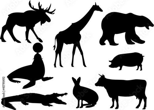 silhouettes of animals