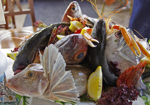 misto pesce