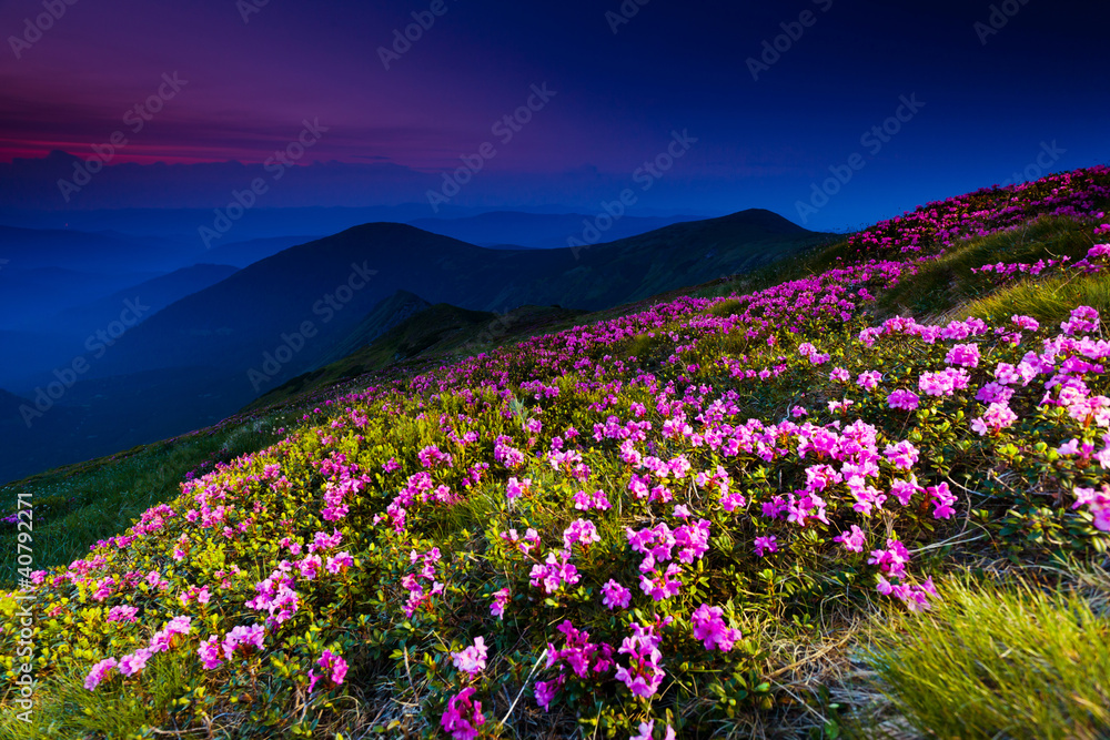 Obraz premium mountain landscape