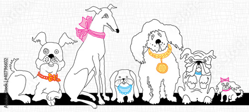 Cute dog. Large and small pets.
