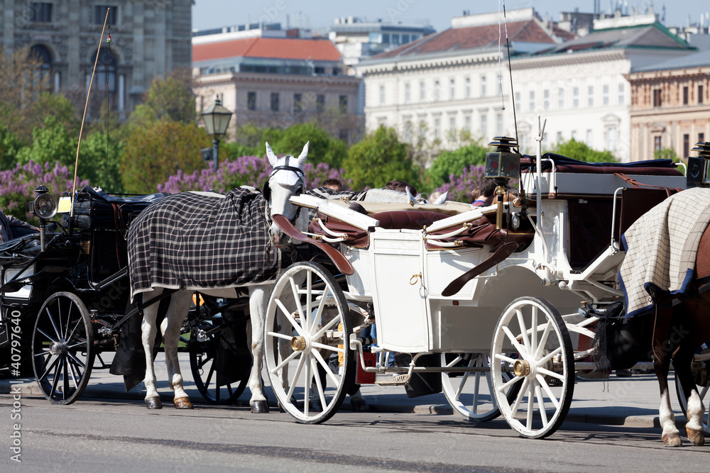 Fototapeta premium Fiaker in Wien
