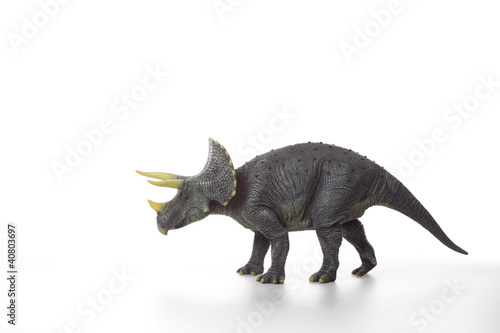 Triceratops dinosaur © Pedro Bigeriego