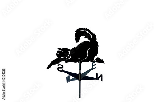 Принти на полотні Weathervane in the form of a cat and mouse.