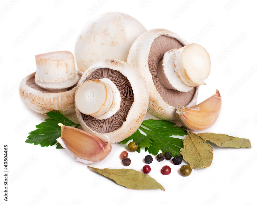 Mushrooms Mushrooms