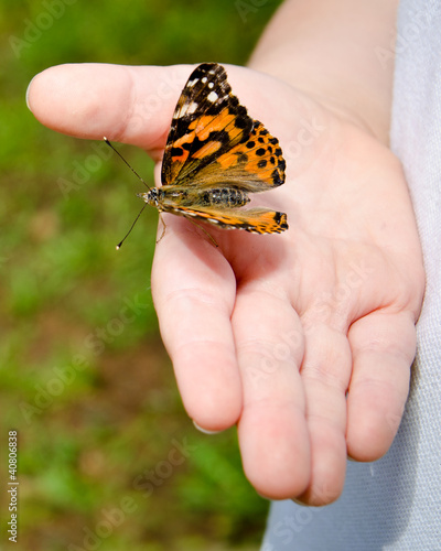 Spring concept of child holding a painted lady butterfly