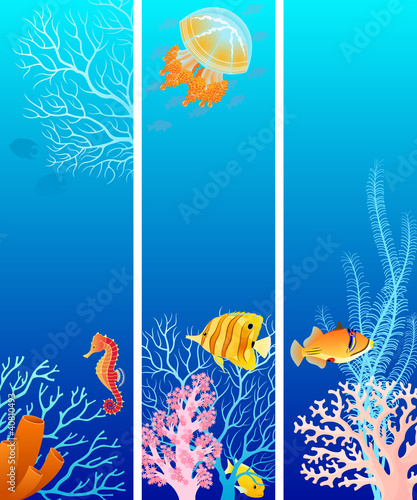 Vertical sea life banner