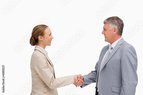 Business people shaking their hands