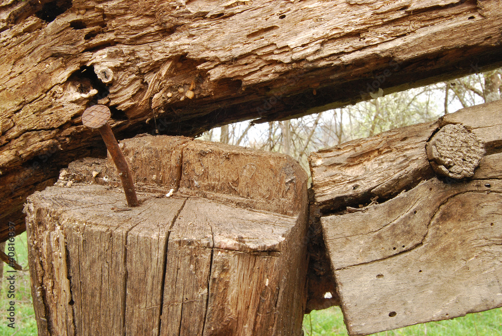 Fototapeta premium Old wood-wormed timber and rusty nail close-up