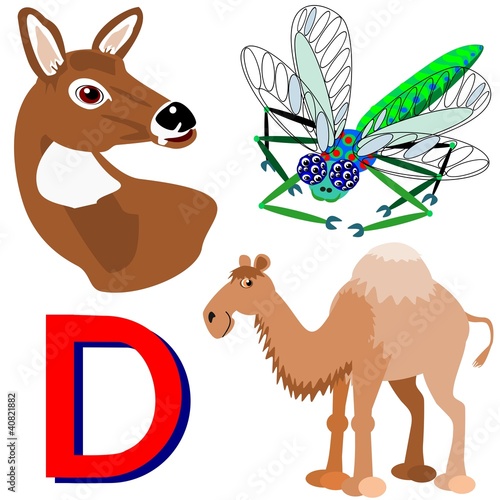 D deer, dragonfly, dromedary