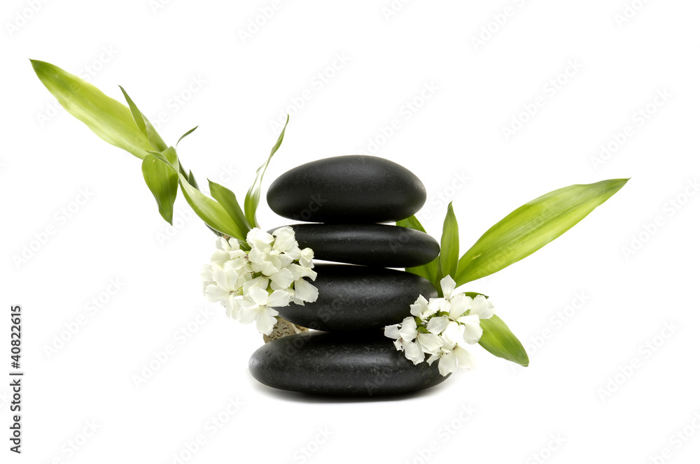 Spa still life with white flowers and zen stones Spa still life with white flowers and zen stones