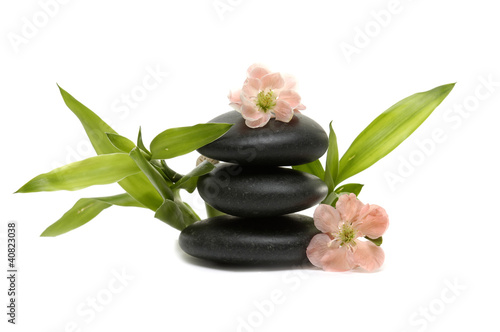 Spa still life with Spring flowering quince and zen stones